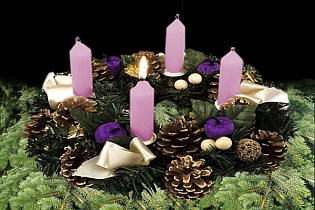 Bilder zum G&auml;rtnereibebedarf